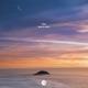 Bliss Single