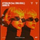 Afterglow feat Erika Krall Single