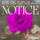 Notice Remixes Single