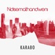 Ndisemathandweni Radio Edit Single