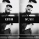 KUSH feat ProdByMikeD Single