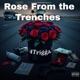 Rose from the trenches Single