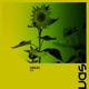 Fear Radio Edit EP