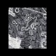 Murder Single