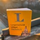 Ossi Linguistik feat Lil Barsch Lil Kopyto Amor Sinnlos Single