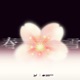 春雪 Single