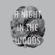 A Night in the Woods Single