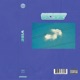 Vibe Single