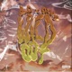 Wild OUT Single