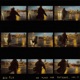 No Place for Patience Vol 3 EP