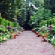 Gardens Single