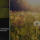 Mind Journey Single