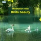 Meditation with Birds Beauty EP