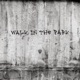 Walk In the Park feat Trouble YS Single