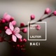Lauter Single