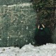 ski jumping 0301 Single