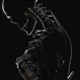 heartRACE Single
