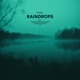 Raindrops Sped Up Single
