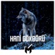 Hani Gökbörü Single