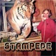Stampede Single