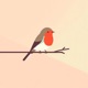 Robin Single