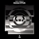 Eucalyptus Single