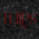Tulips feat Hollywood Luck Rhymez KoolKM Single