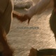 CULPABLES Single