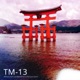 TM 13 Single