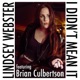 I Didn t Mean It feat Brian Culbertson Single