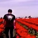 Drag You Through My Hell EP
