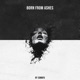 Born from Ashes Single