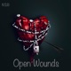 Open Wounds Single