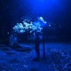 Spotlight Single