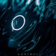 Control Single