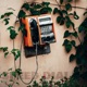 speed dial feat Miles Canady Single