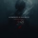 Schmerzen in der Brust feat Domega46 Single