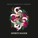 Spiritchaser Single