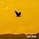 SOAR
