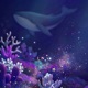 The Breath of Blue Night