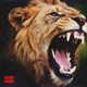 LEONE Single
