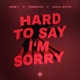 Hard to Say I m Sorry Single
