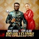 Iro Halleluyah feat Tope Alabi Single