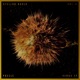 Venus Single