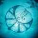 Still Water Single