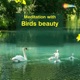 Meditation With Birds Beauty EP