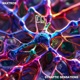 Synaptic Sensations Single