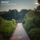Enchanted Forest Single