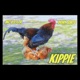 Kippie Single