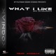 What I Like feat JayXRomalis Single